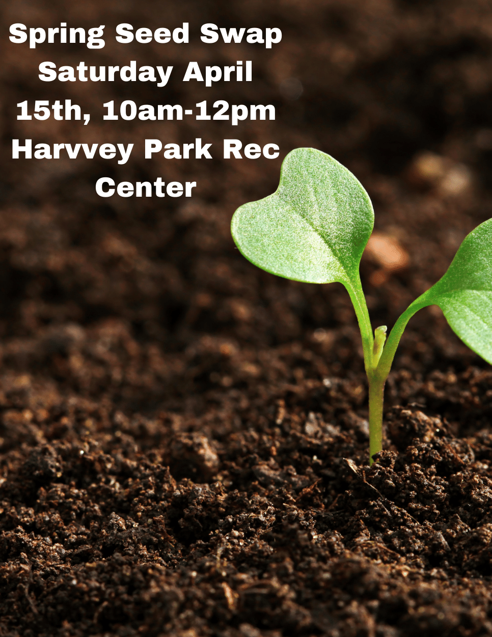 Join us for our 2023 Harvey Park Spring Seed Swap